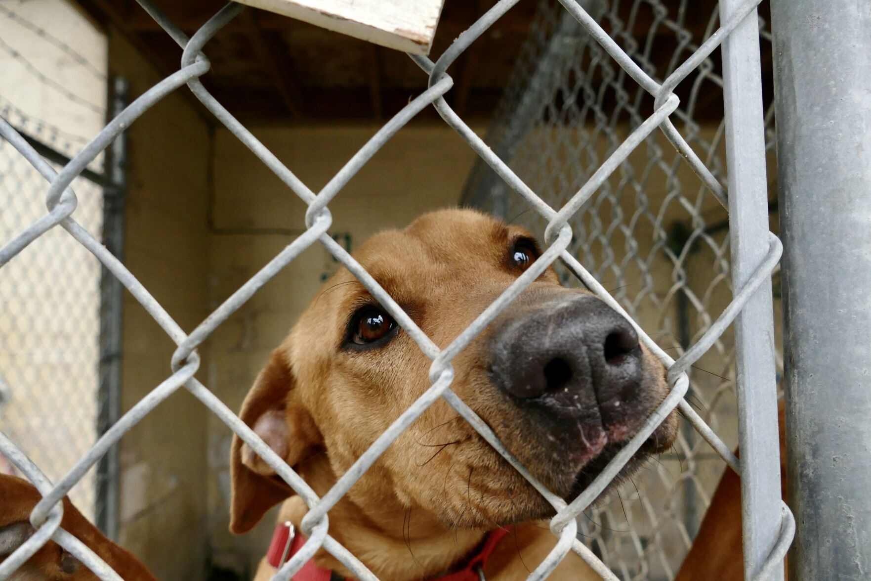 Shelter5.jpeg